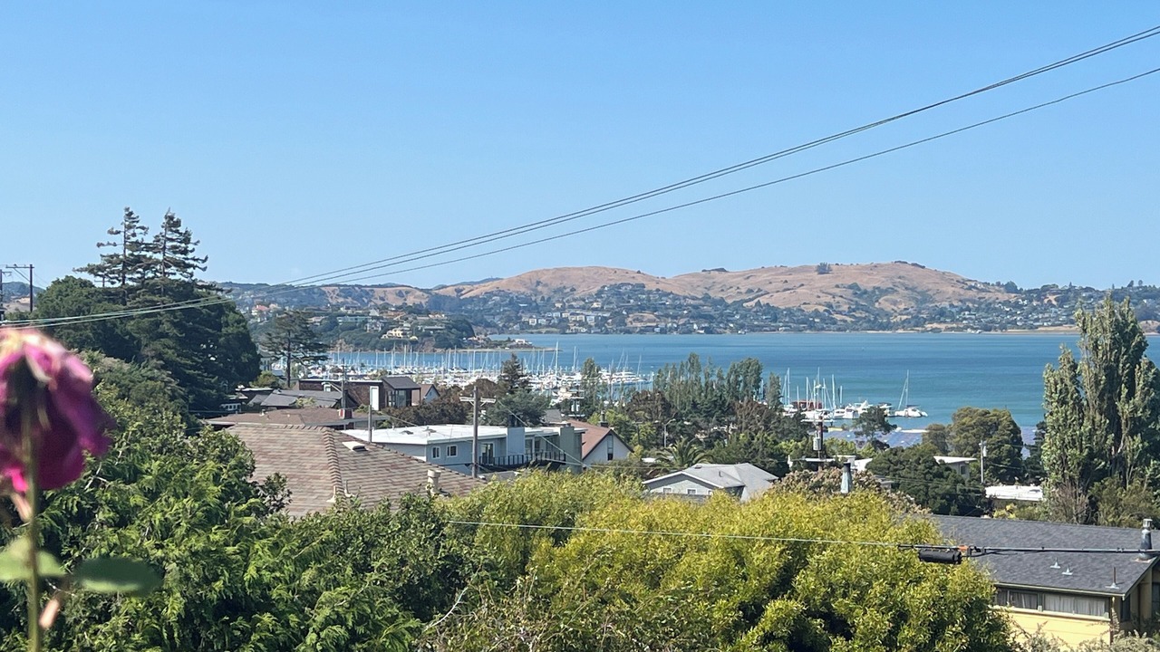 Photo of Others in Sausalito