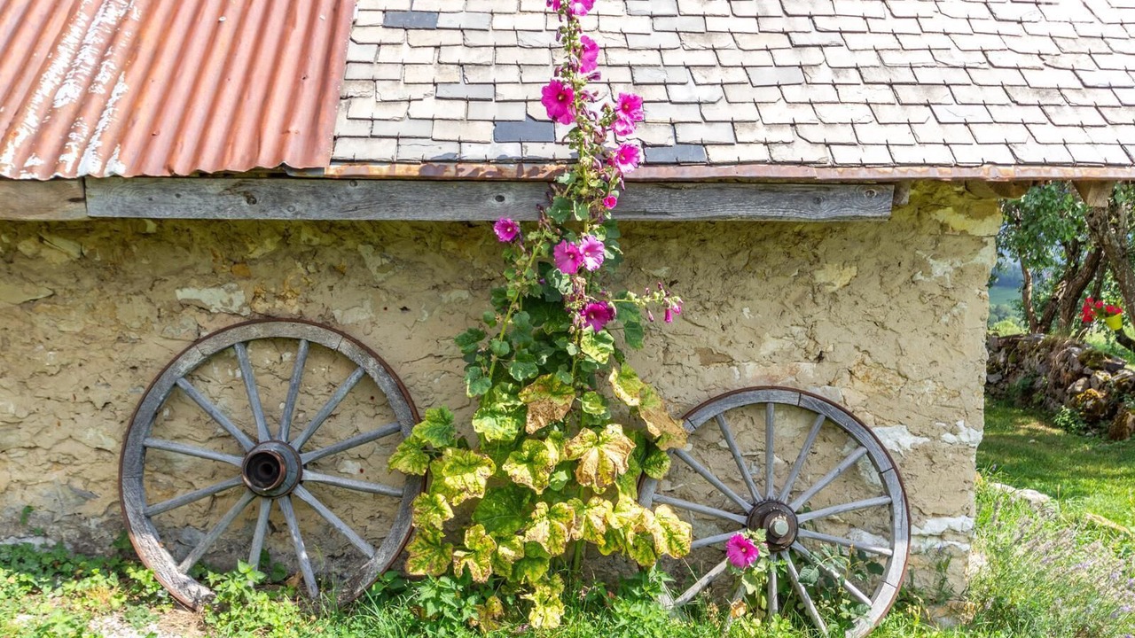 Photo of Outdoor in Les Deserts