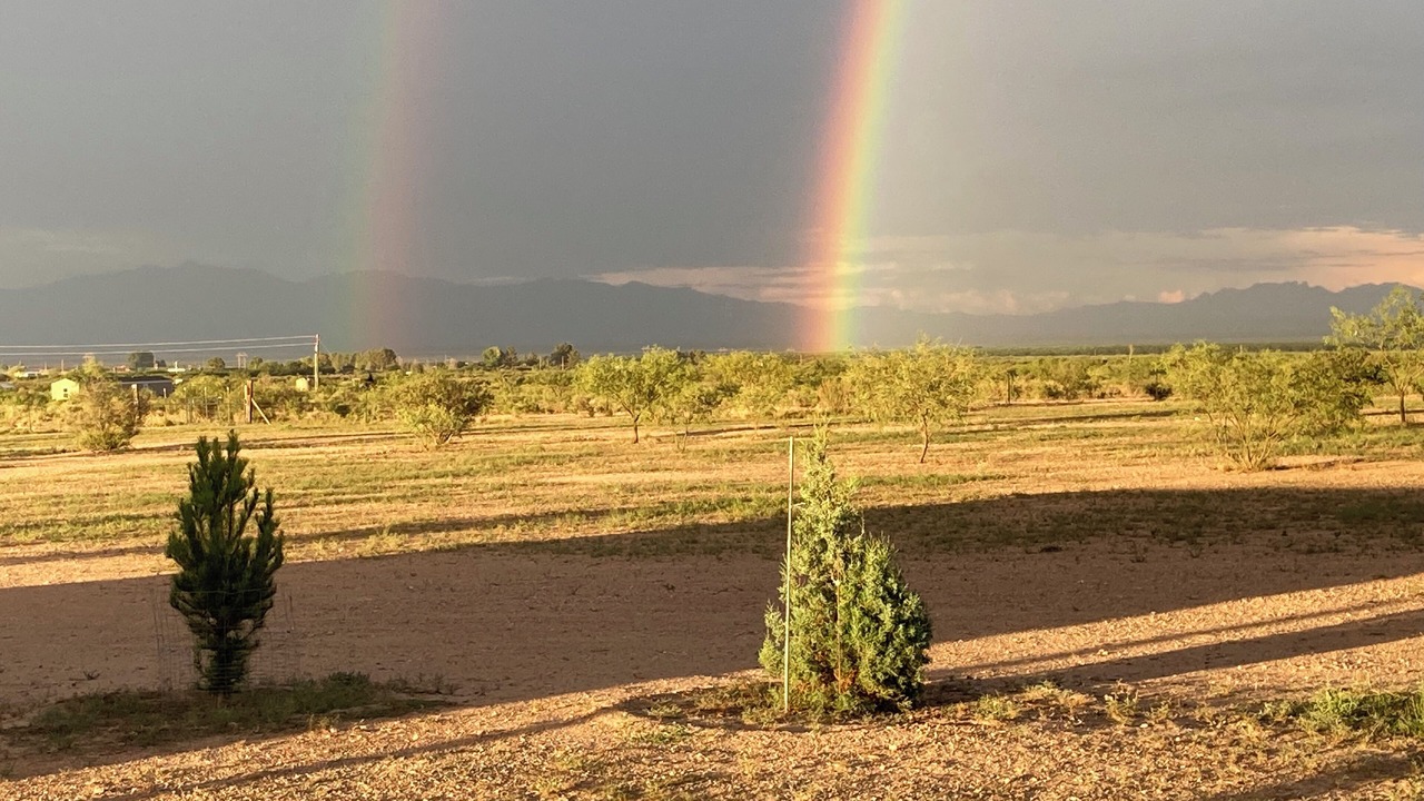 Photo of Others in Cochise