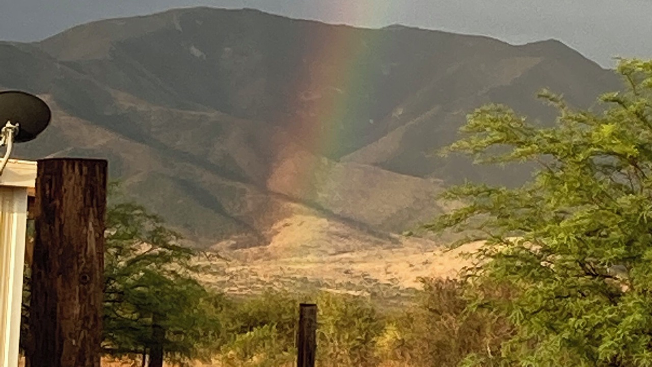Photo of Others in Cochise