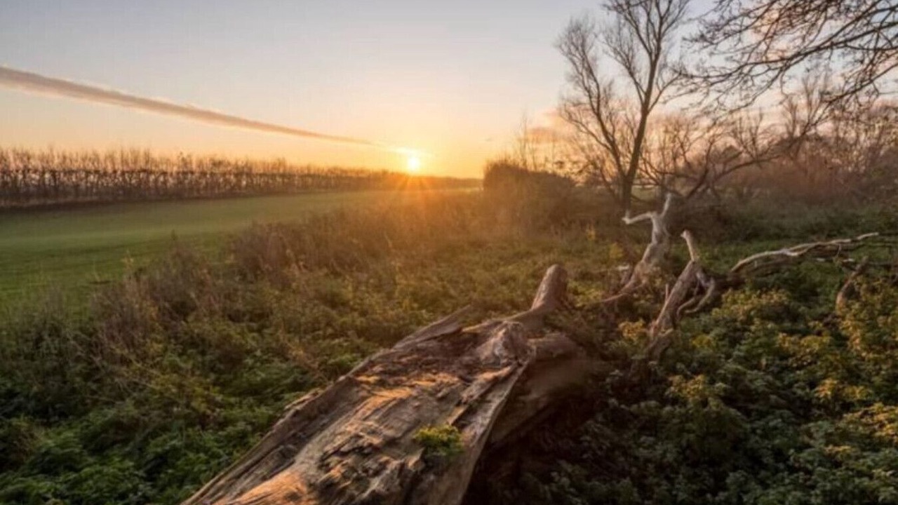 Photo of Others in Littleport