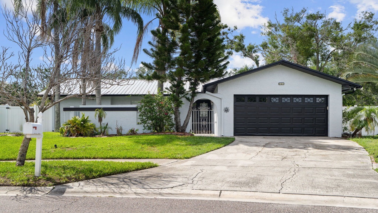 Photo of Outdoor in Tampa