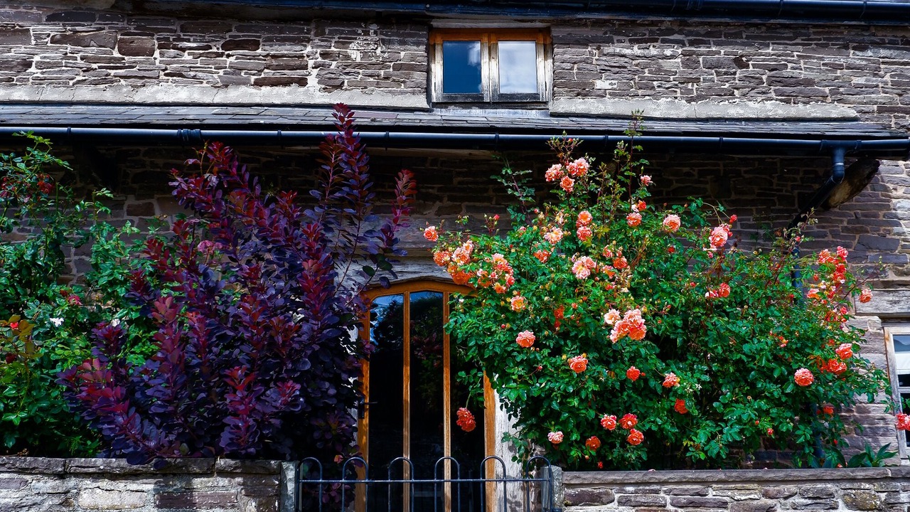 Photo of Outdoor in Crickhowell