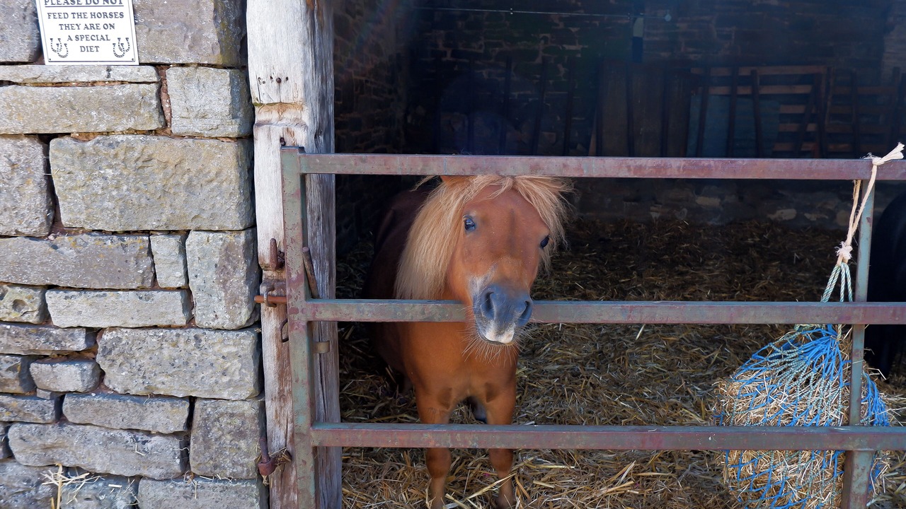 Photo of Others in Crickhowell