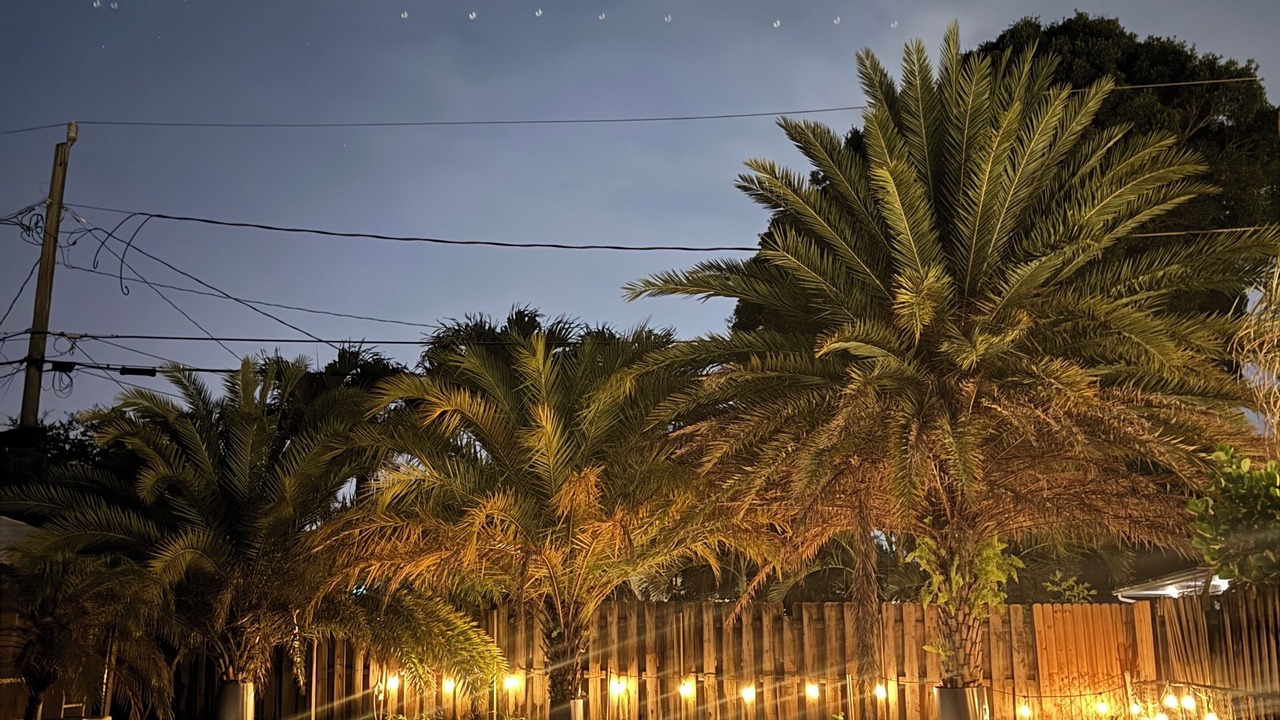 Photo of Outdoor in Wilton Manors