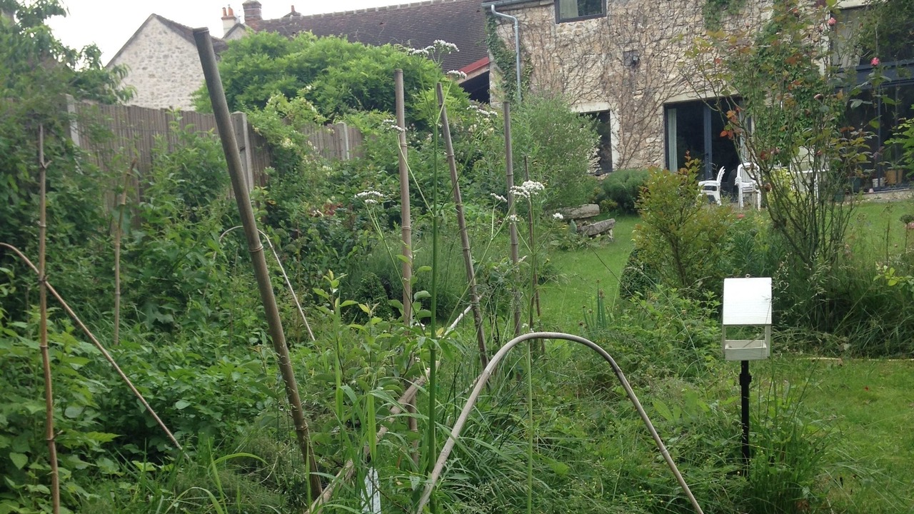 Photo of Outdoor in Montcourt-Fromonville