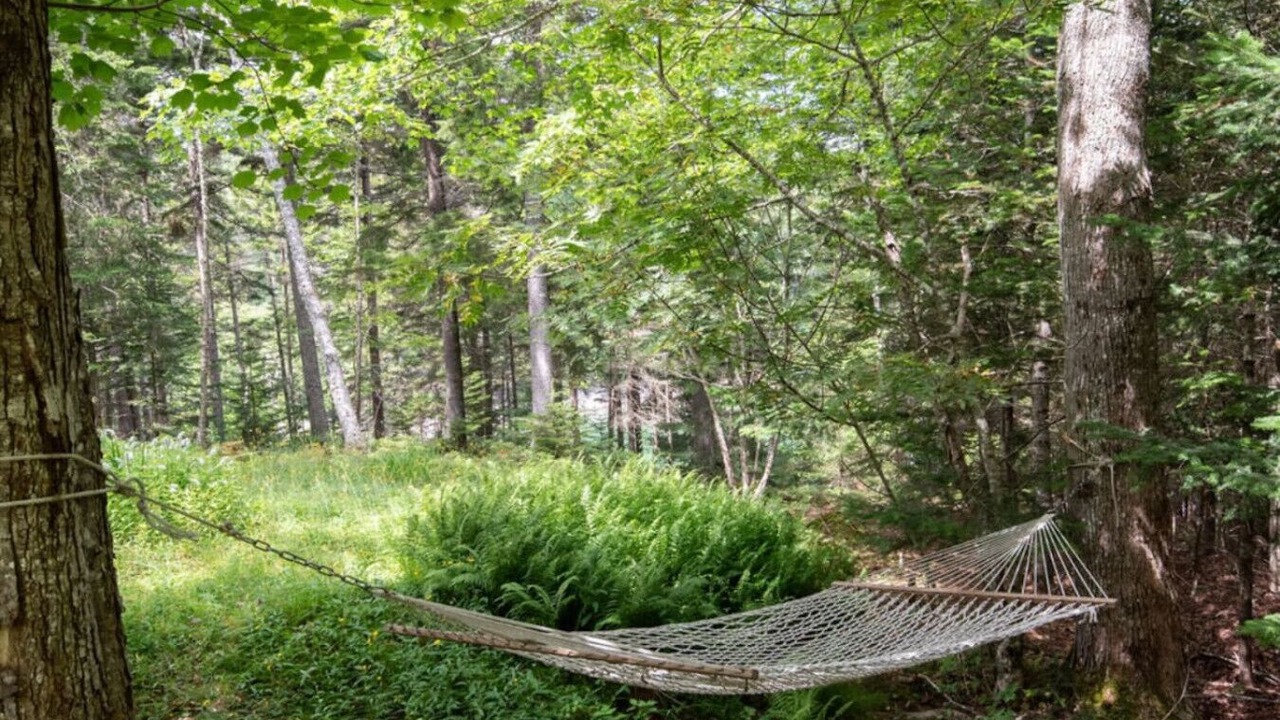 Photo of Outdoor in Seal Cove