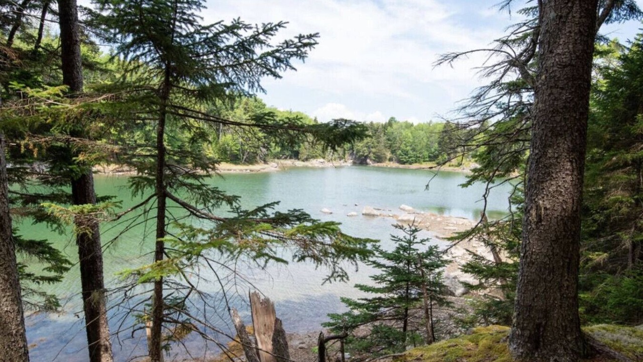 Photo of Others in Seal Cove