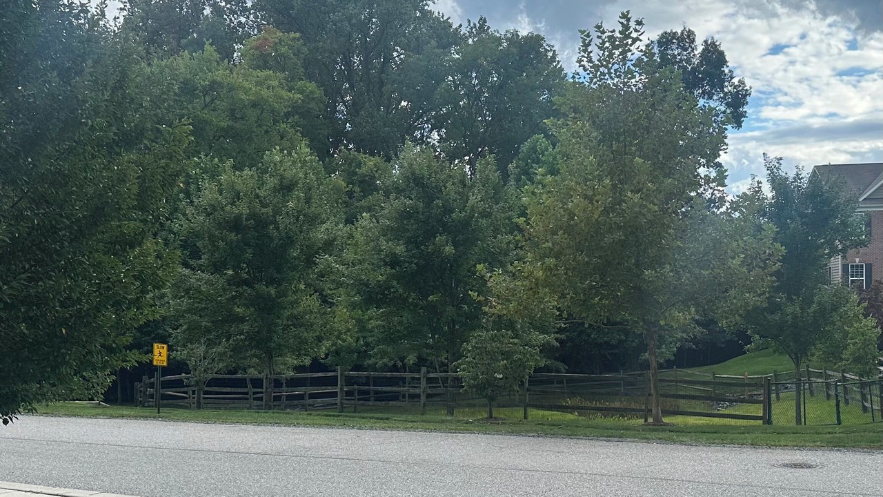 Photo of Outdoor in Bel Air