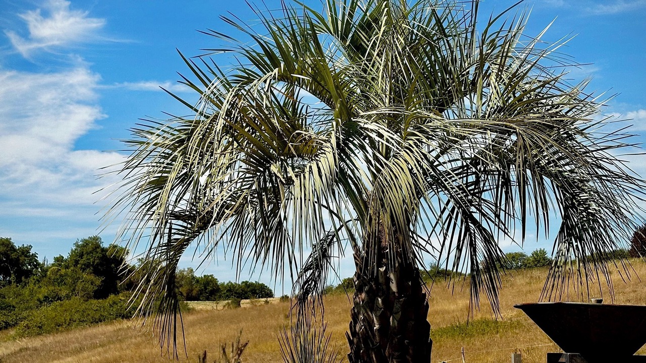 Photo of Outdoor in Montamise