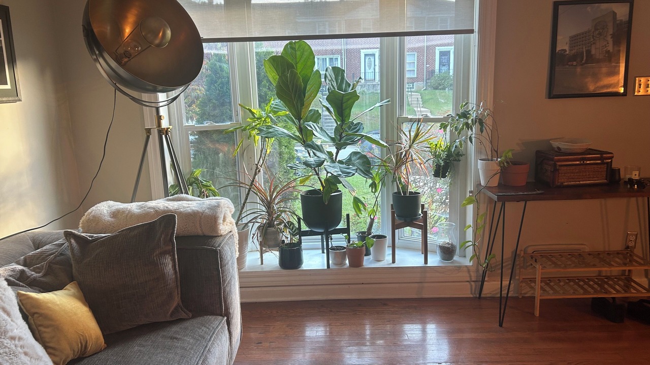 Photo of Livingroom in Chinquapin Park