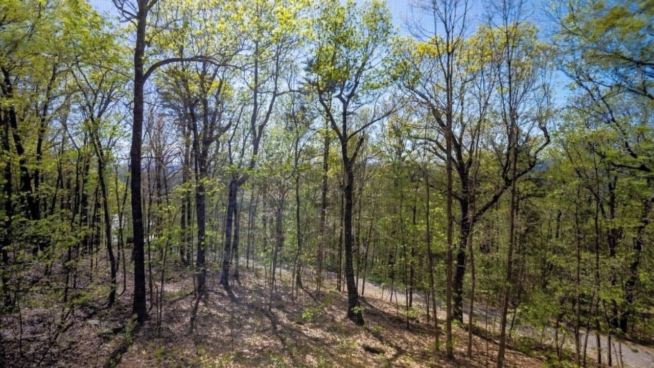 Photo of Others in Valley Head