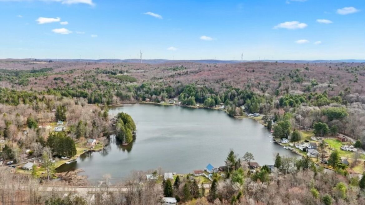 Photo of Others in Windsor