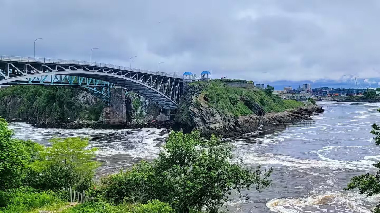 Photo of Others in Saint John