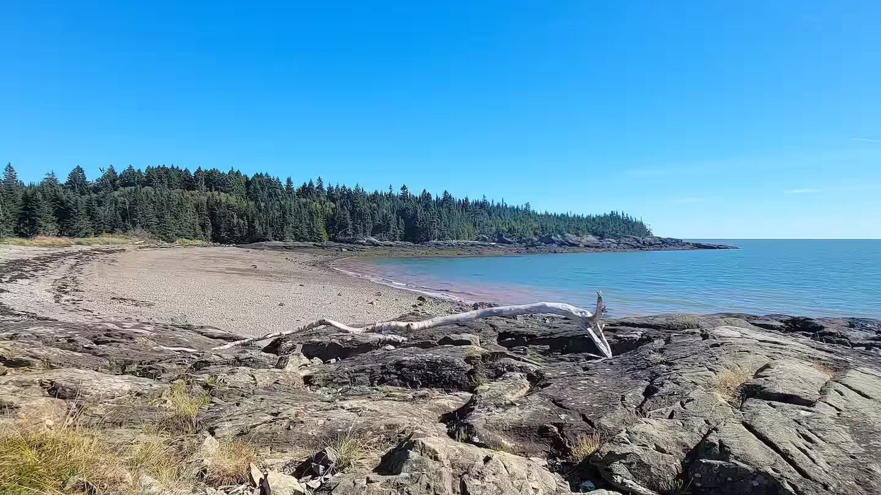 Photo of Others in Saint John