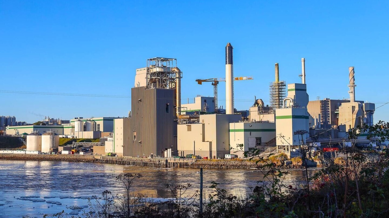 Photo of Others in Saint John