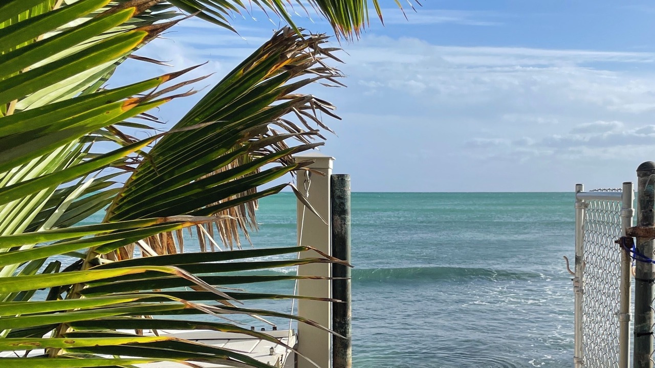 Photo of Others in Ewa