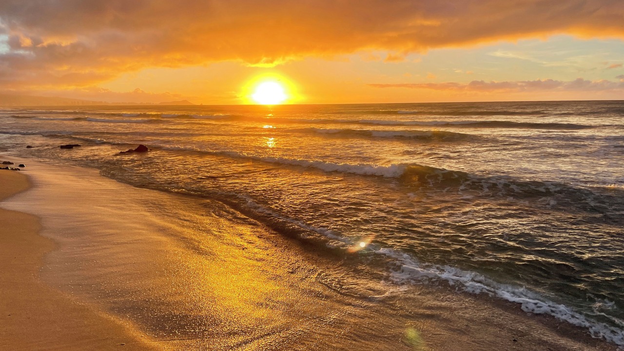 Photo of Others in Ewa