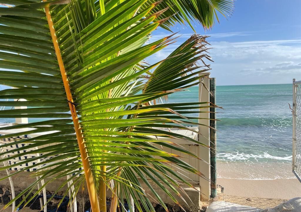 Photo of Others in Ewa