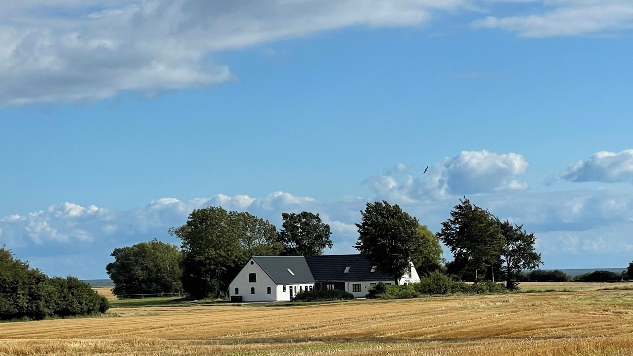 Photo of Others in Stege