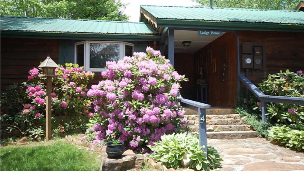 Photo of Outdoor in Candler