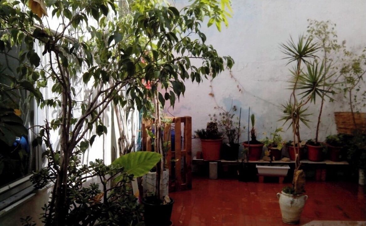 Photo of Outdoor in Campoamor
