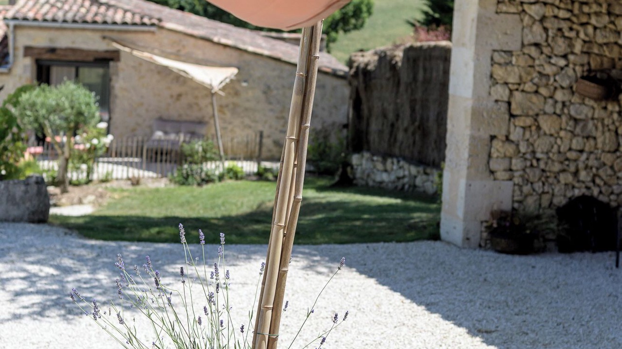 Photo of Outdoor in Terraube