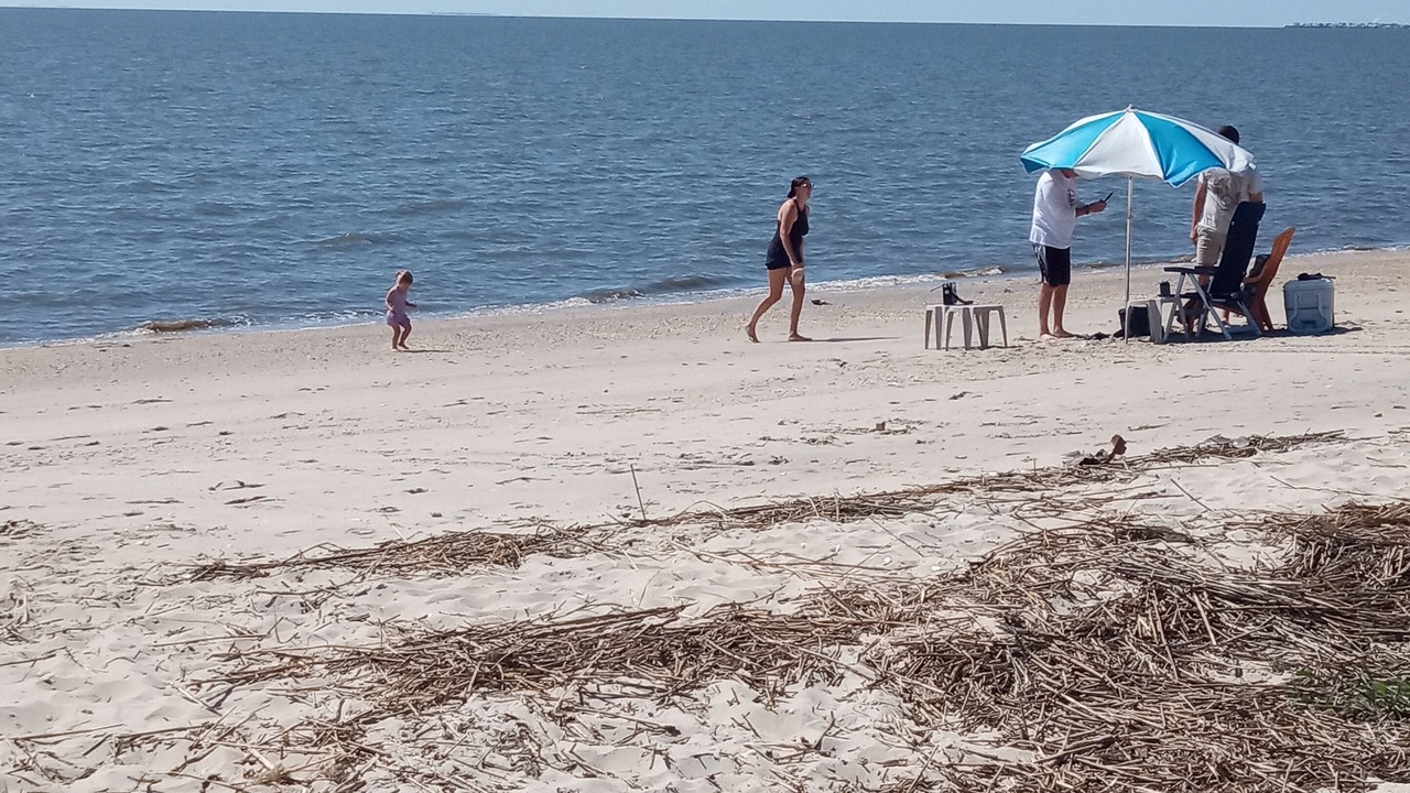 Photo of Others in Fortescue