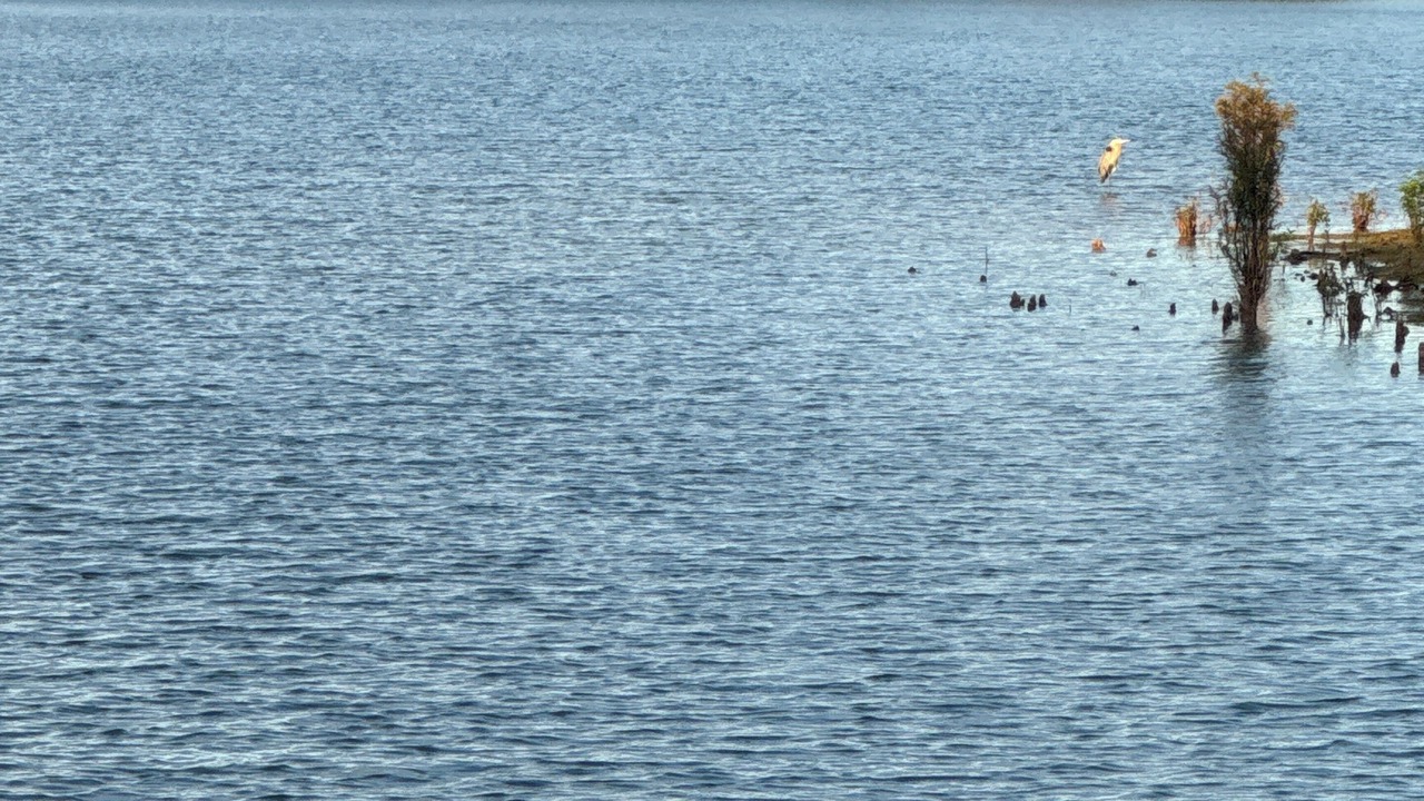 Photo of Others in Florien
