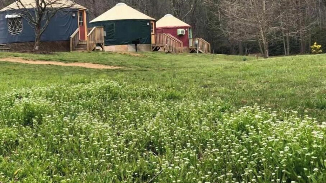 Photo of Outdoor in Candler