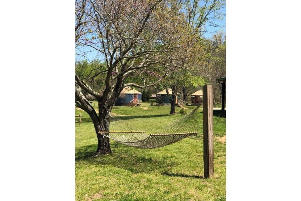 Photo of Outdoor in Candler