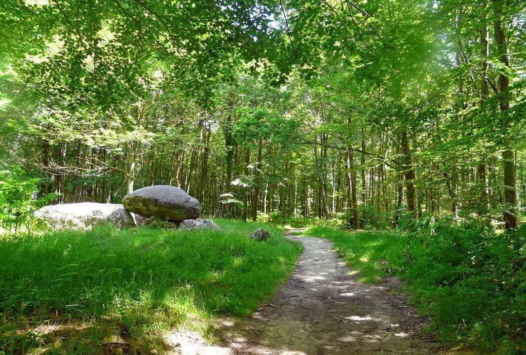 Photo of Others in Landivy