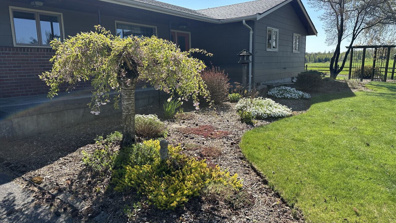 Photo of Outdoor in Everson