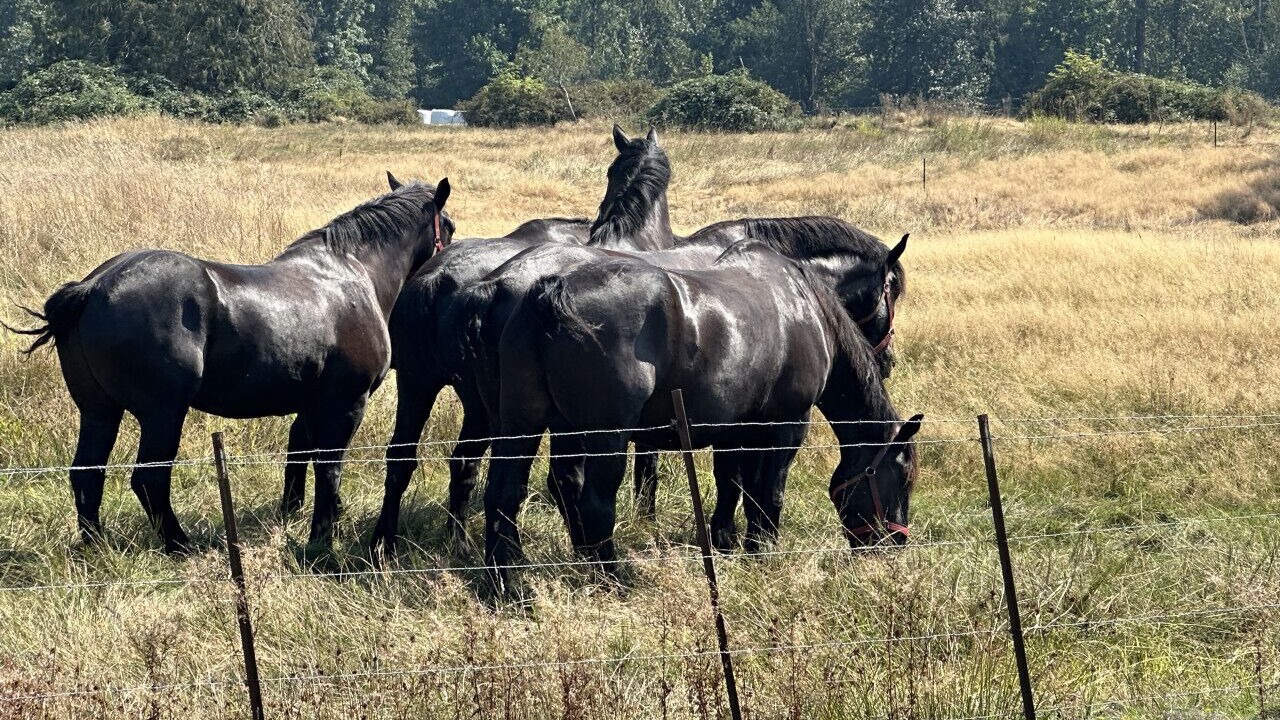 Photo of Others in Everson