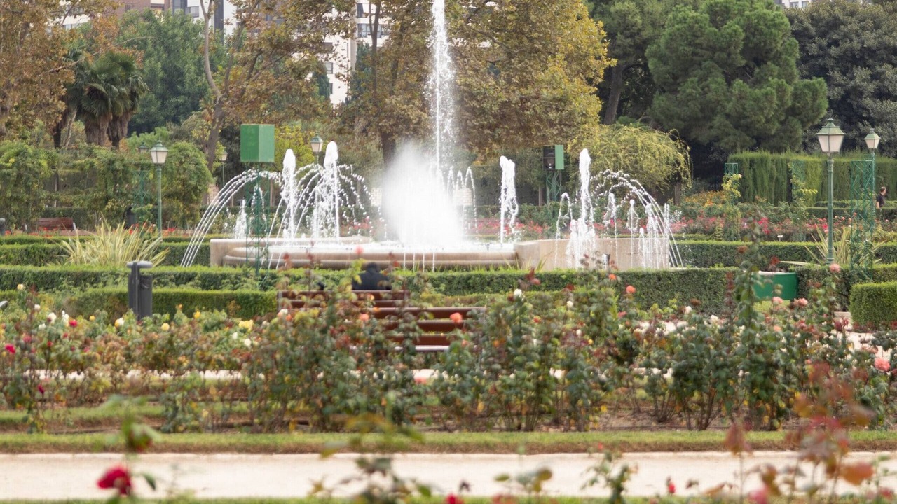 Photo of Outdoor in Trinitat