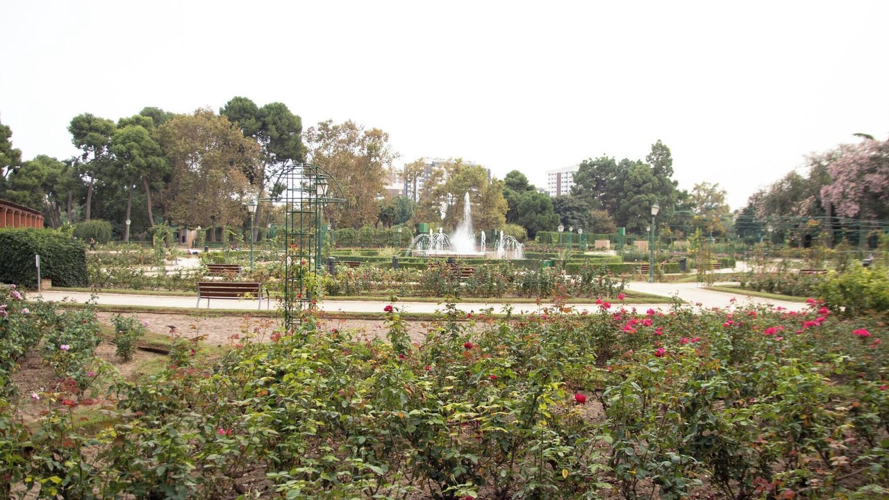 Photo of Outdoor in Trinitat