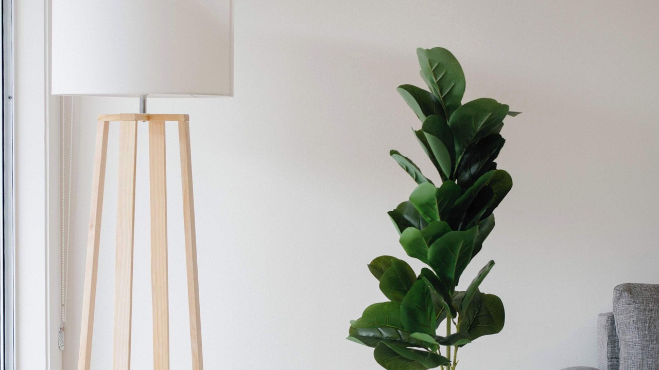 Photo of Others in Merewether