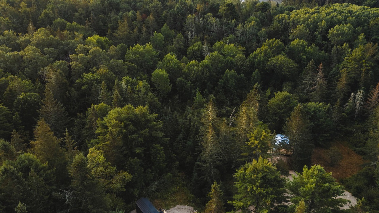 Photo of Outdoor in Sullivan