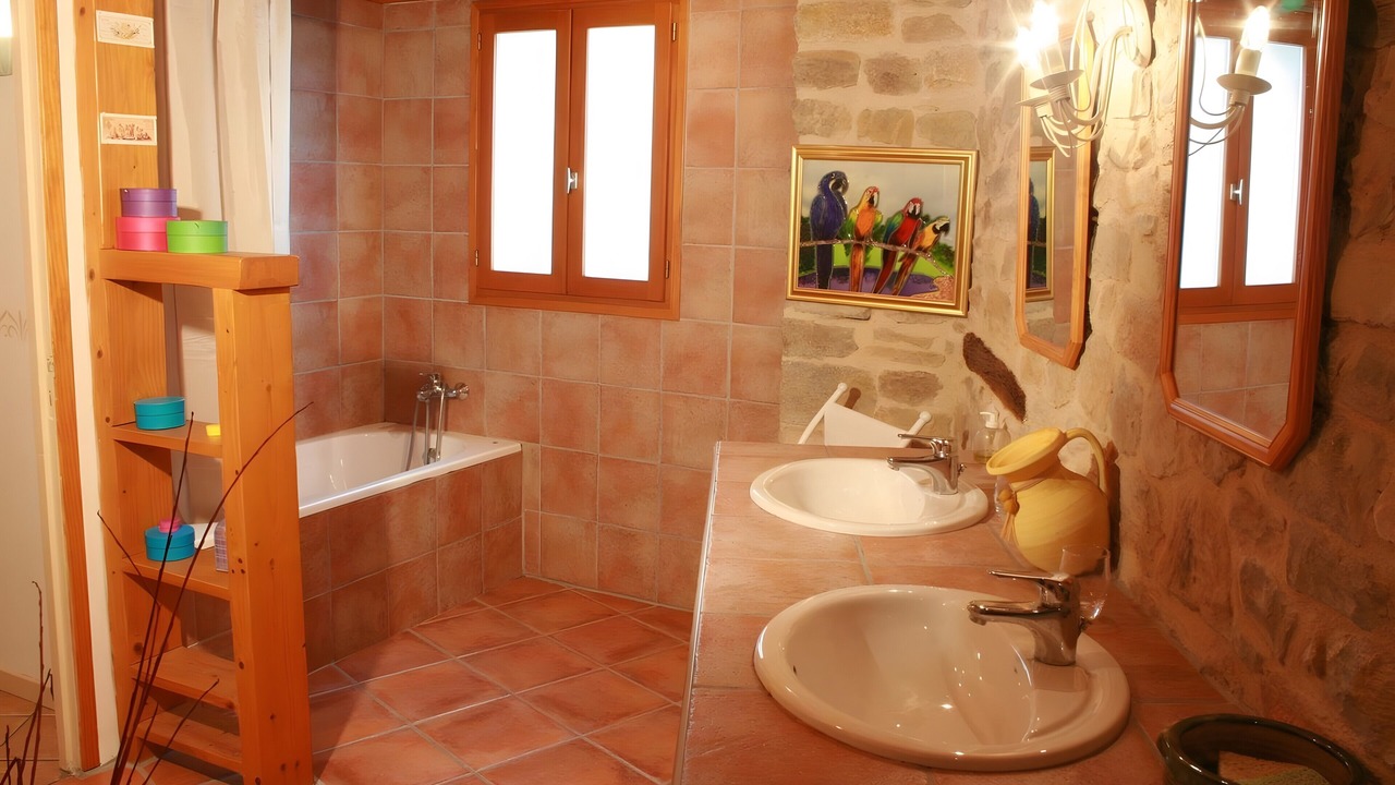 Photo of Bathroom in Milhars