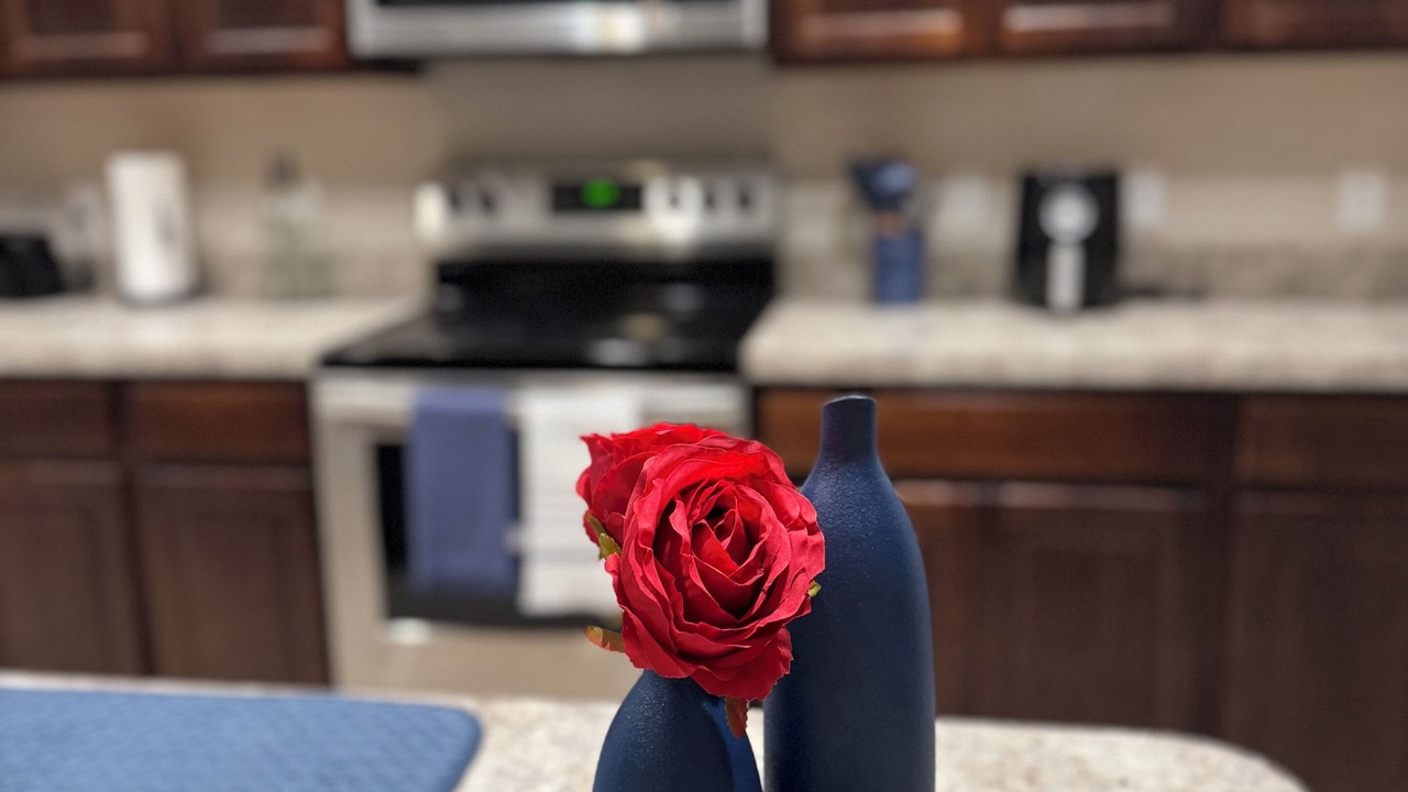 Photo of Kitchen in Spring Hill