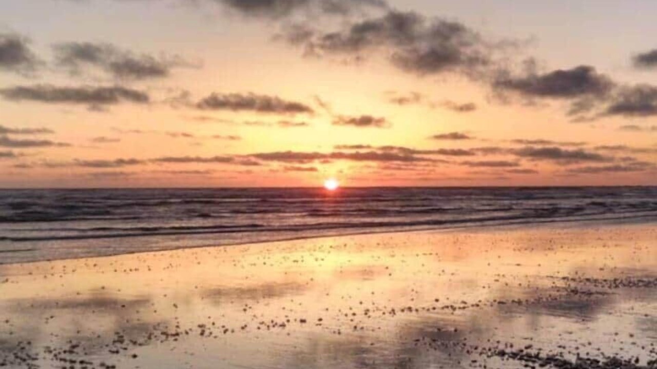 Photo of Others in Ocean Shores