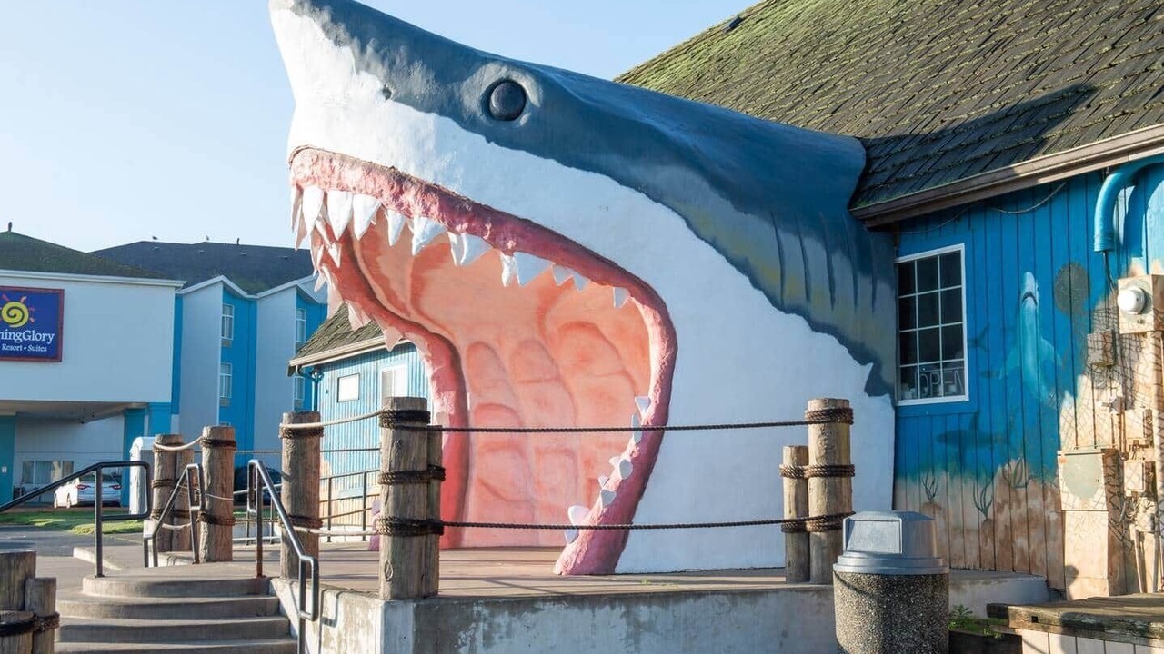 Photo of Others in Ocean Shores
