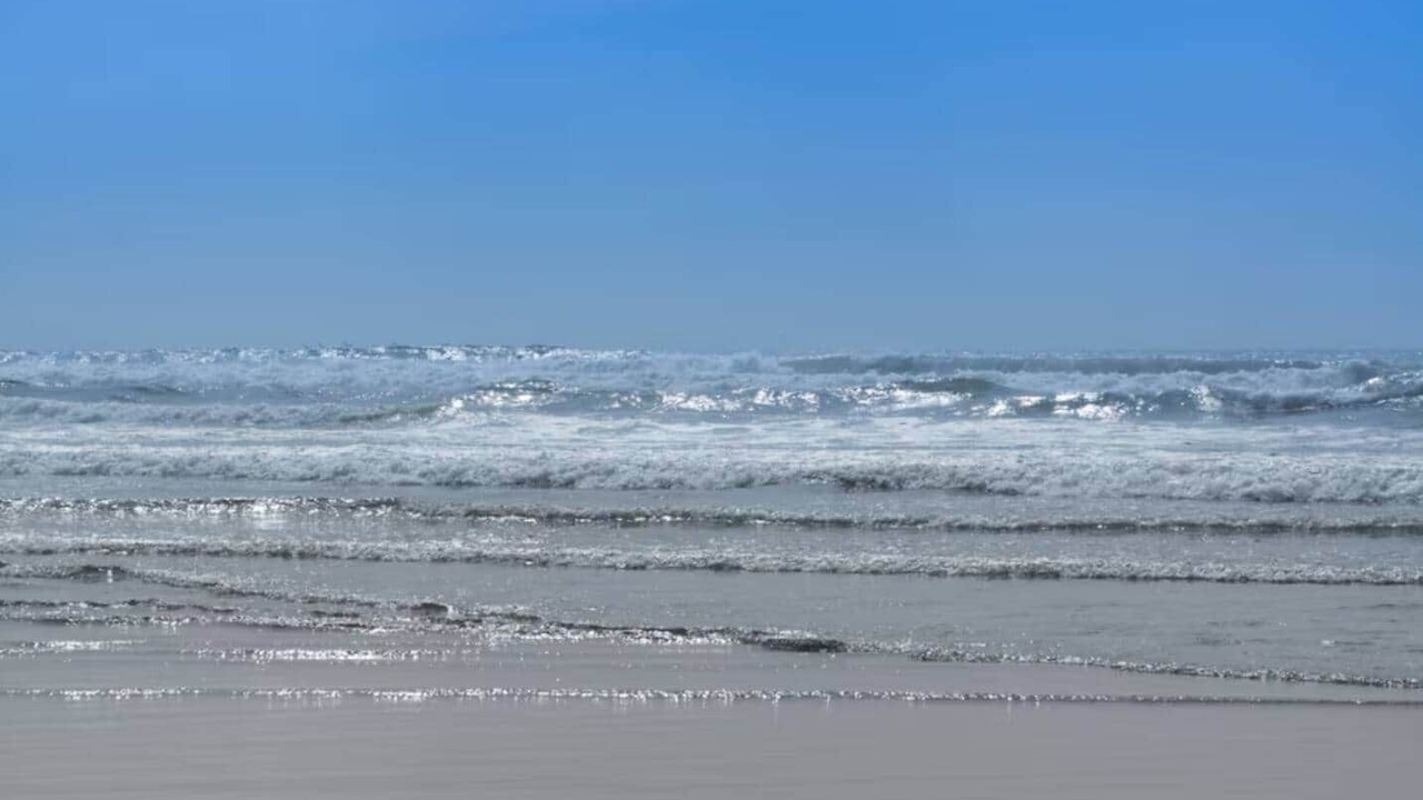 Photo of Others in Ocean Shores