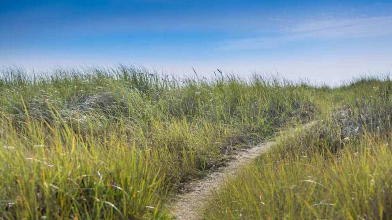 Photo of Others in Ocean Shores