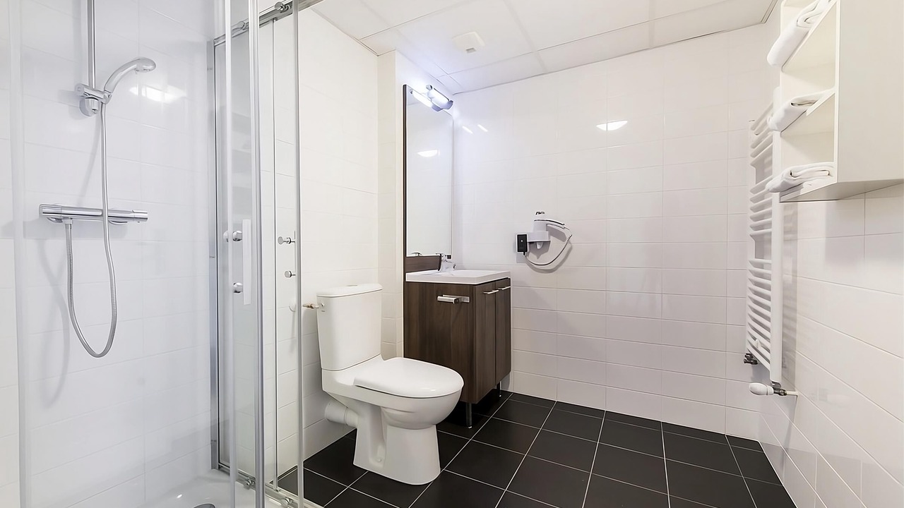 Photo of Bathroom in Dijon