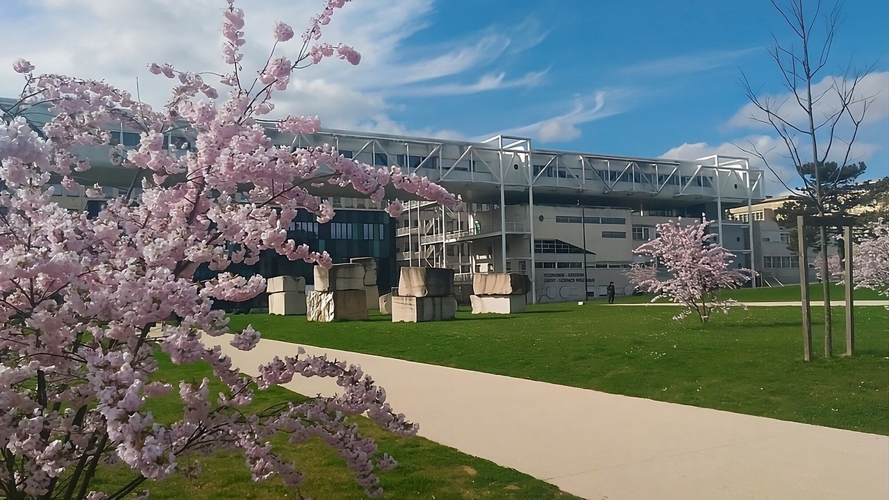 Photo of Others in Dijon