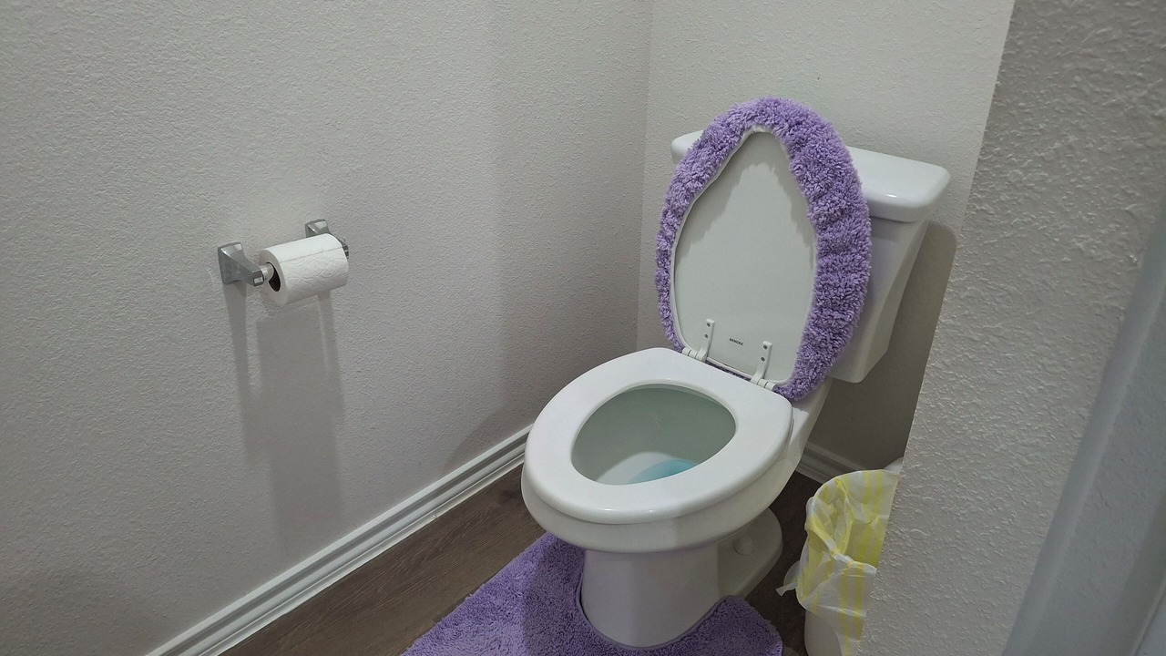 Photo of Bathroom in Westminster