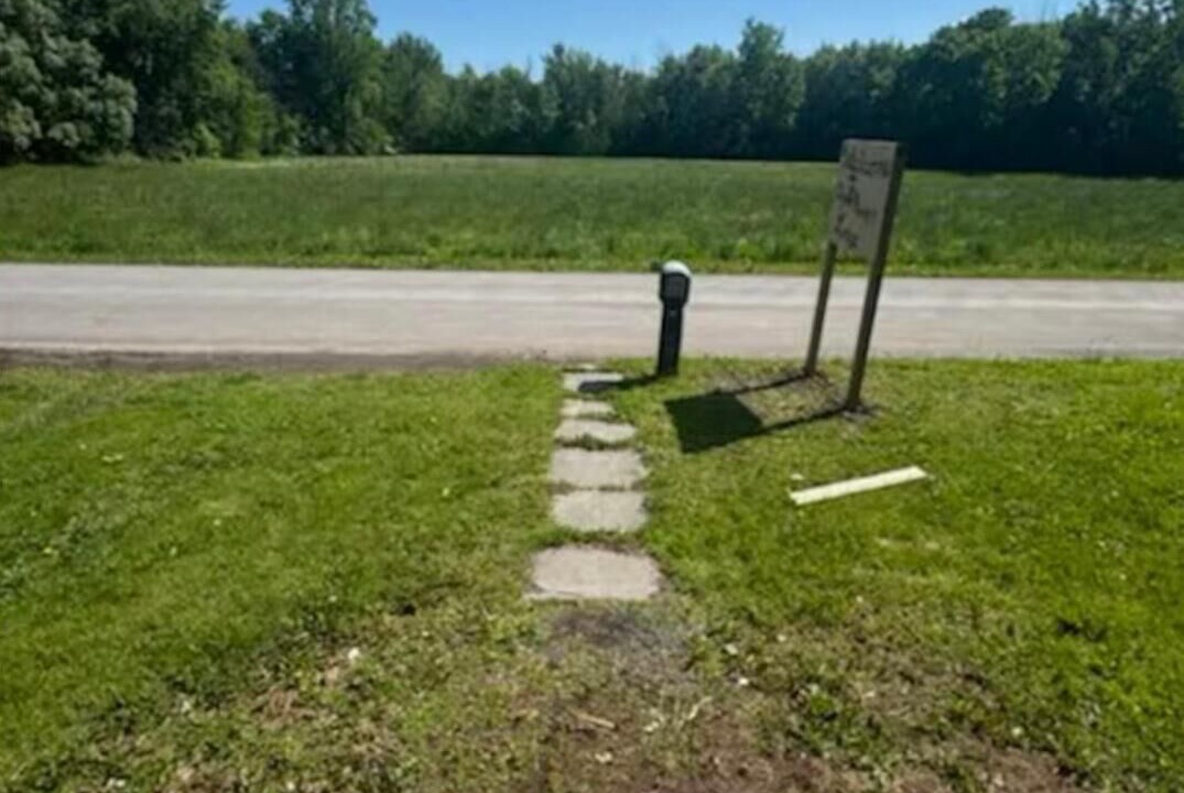 Photo of Outdoor in South Butler