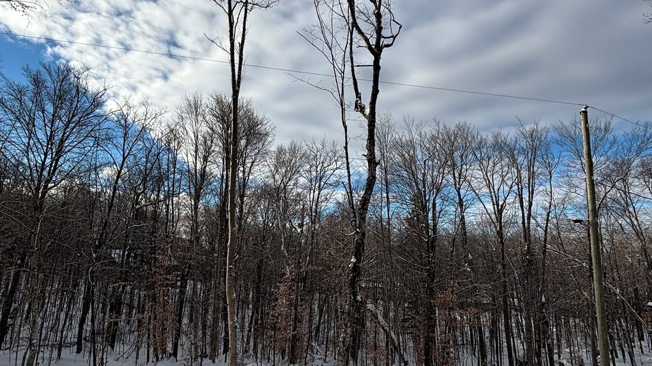 Photo of Others in Saint Donat