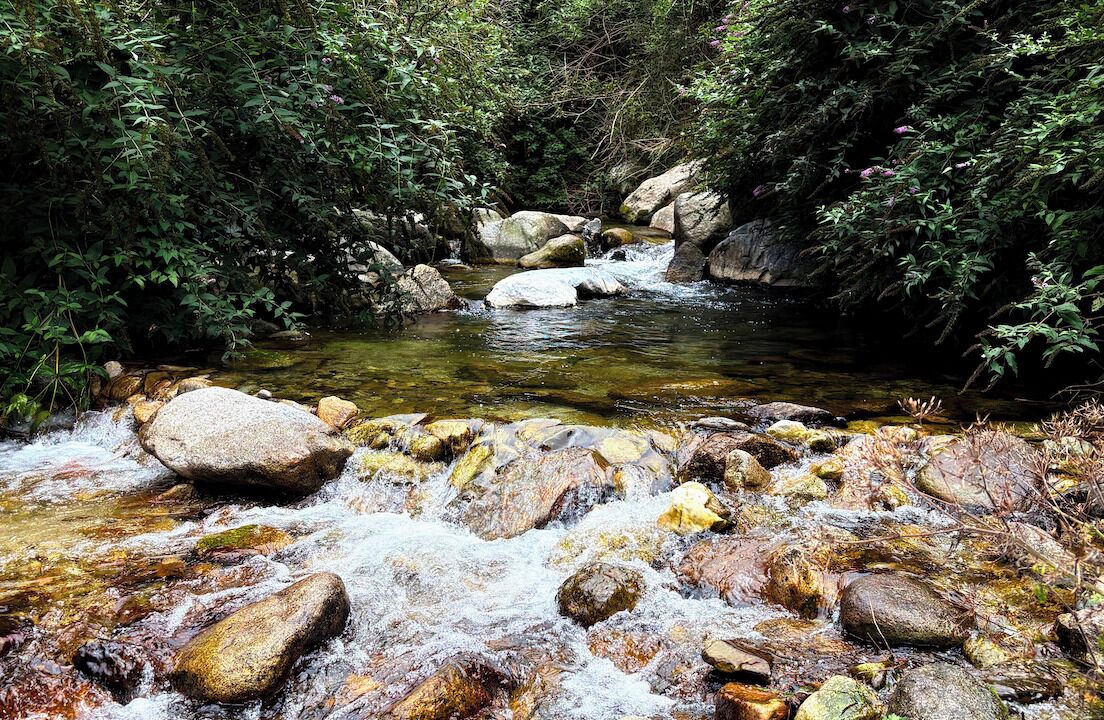 Photo of Others in Les Bains de la Preste